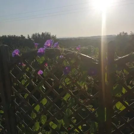 Chez Muriel Et Elain Habitación en casa particular